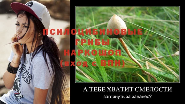 гидра Алексин