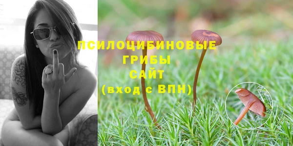 дмт Алексеевка